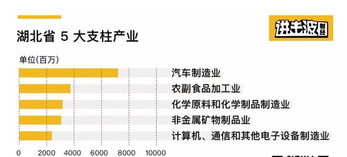 为了说清楚湖北及武汉的经济,我做了九张图