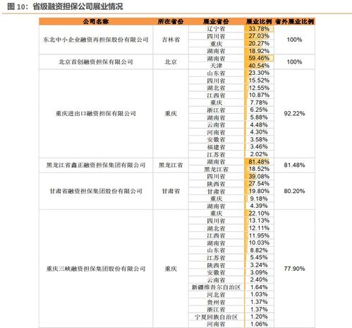 如何看待融资担保债券