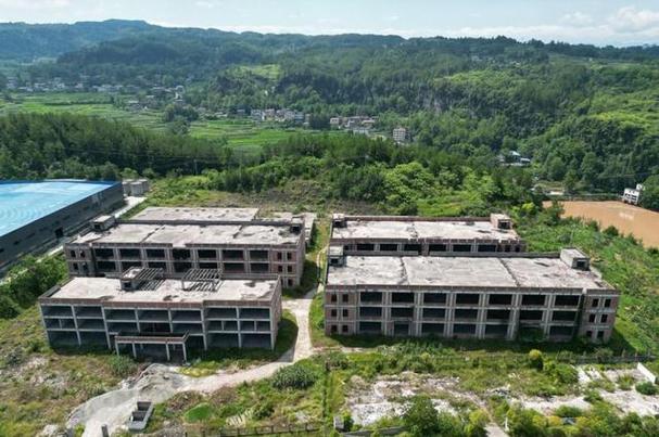 万江农业在重庆石柱烂尾工厂遭到流拍,806万元的价格不烫手吧?